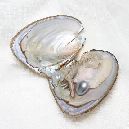 1-50PC Oyster Wish Freshwater Pearl Kit mixed colors 5-8mm in Bead size