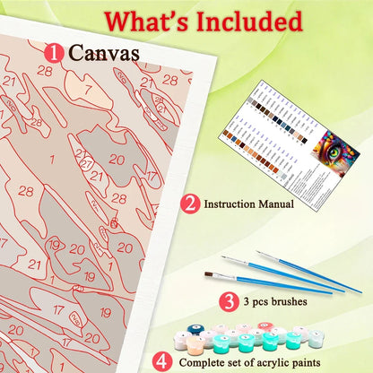 Canvas Eye Portrait Acylic Paint By Numbers