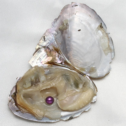 7-8MM AA+ Single Pearl Vacuum-pack Oyster Beautiful & Interesting Nature Gifts Cultivate High-quality Pearls 10PCs/Lot