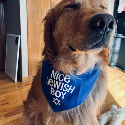 Nice Jewish Boy/Girl Pet Bandana